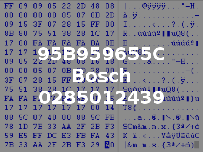 95B959655C Bosch 0285012439