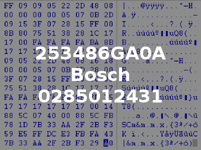 253486GA0A Bosch 0285012431