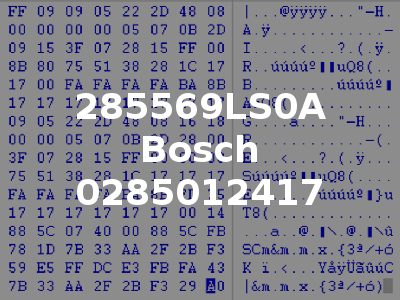 285569LS0A Bosch 0285012417