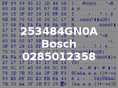 253484GN0A Bosch 0285012358