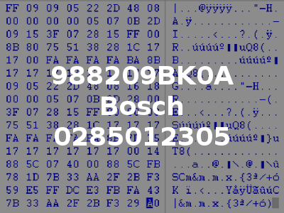 988209BK0A Bosch 0285012305