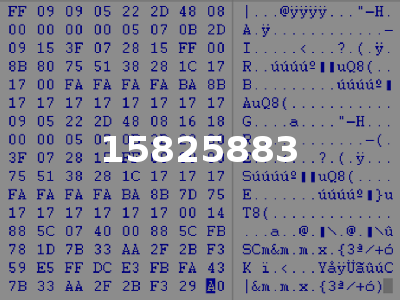 15825883