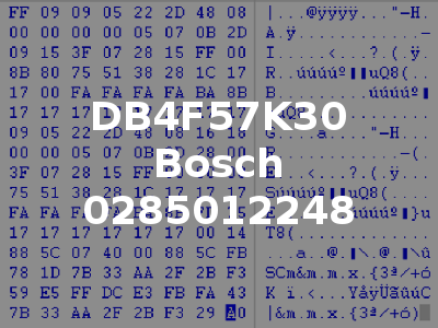 DB4F57K30 Bosch 0285012248