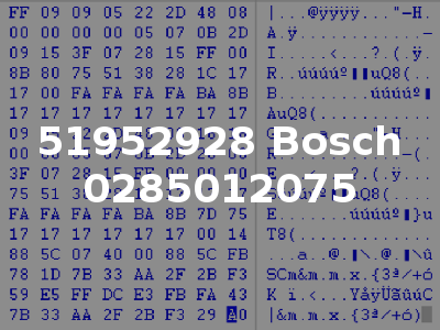 51952928 Bosch 0285012075