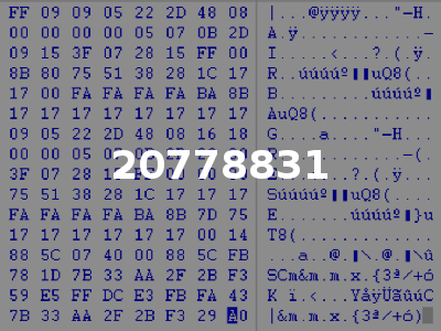 20778831