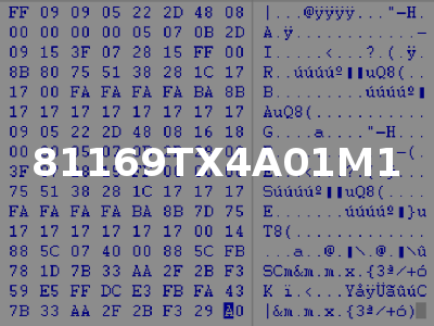 81169TX4A01M1