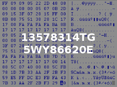 13578314TG 5WY86620E