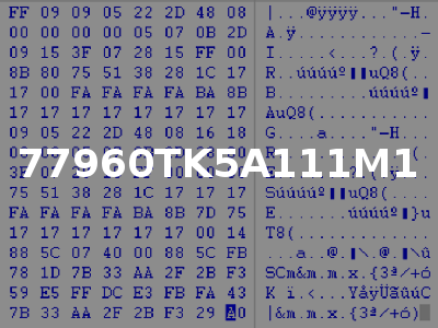77960TK5A111M1