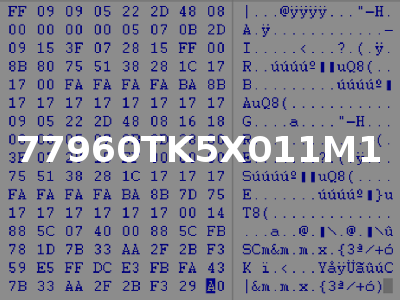 77960TK5X011M1