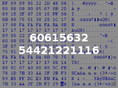 60615632 54421221116