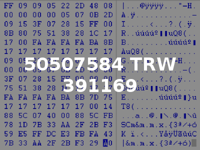 50507584 TRW 391169
