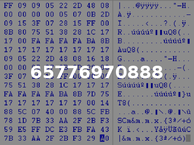 65776970888