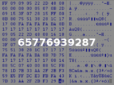 65776939287