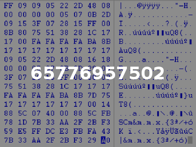65776957502