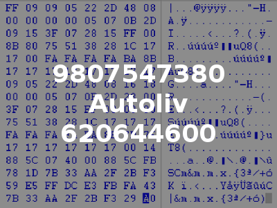9807547380 Autoliv 620644600