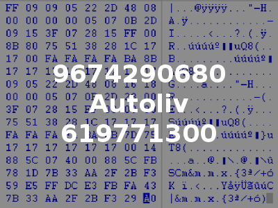 9674290680 Autoliv 619771300