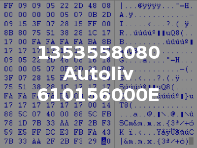 1353558080 Autoliv 610156000E