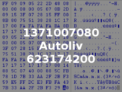1371007080 Autoliv 623174200