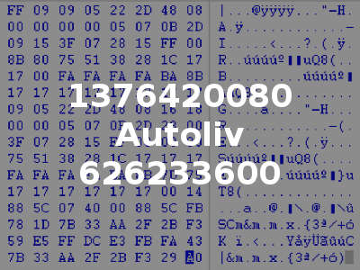 1376420080 Autoliv 626233600