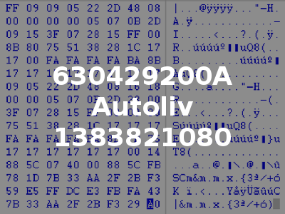 630429200A Autoliv 1383821080
