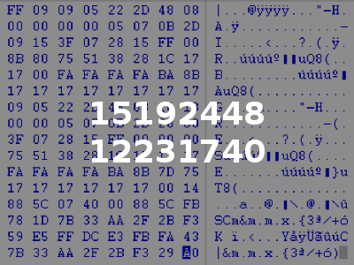15192448 12231740