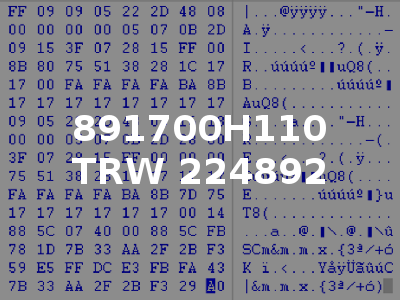 891700H110 TRW 224892