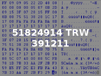 51824914 TRW 391211
