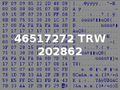 46517272 TRW 202862