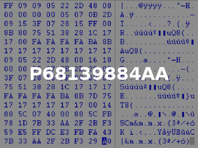 P68139884AA