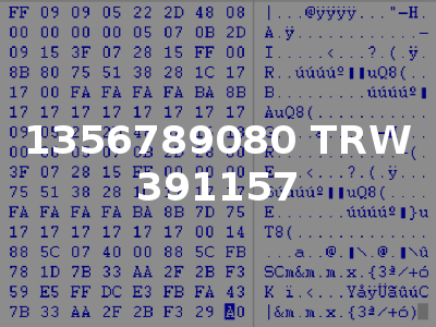 1356789080 TRW 391157