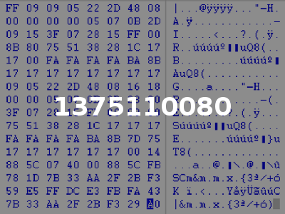 1375110080