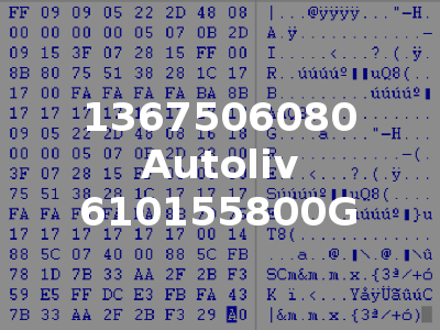 1367506080 Autoliv 610155800G