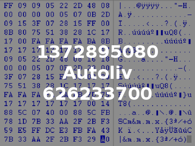 1372895080 Autoliv 626233700