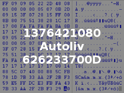 1376421080 Autoliv 626233700D
