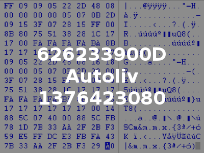 626233900D Autoliv 1376423080