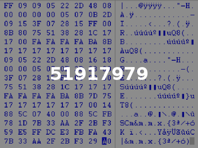 51917979