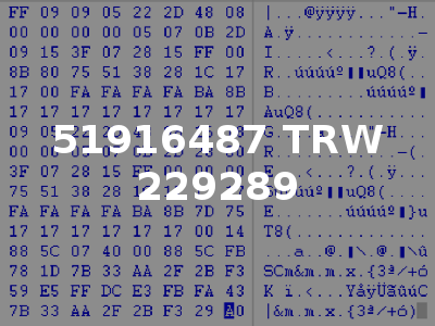 51916487 TRW 229289