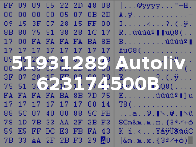 51931289 Autoliv 623174500B
