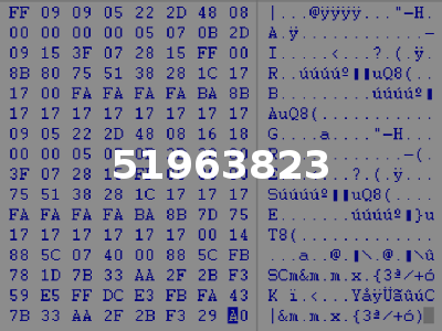 51963823