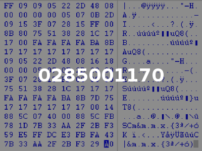 0285001170