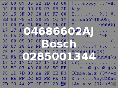 04686602AJ Bosch 0285001344