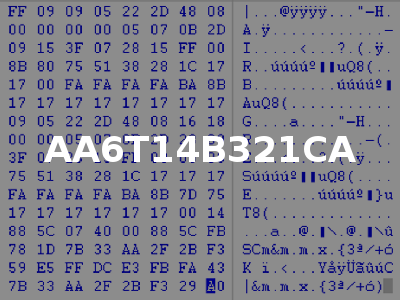 AA6T14B321CA