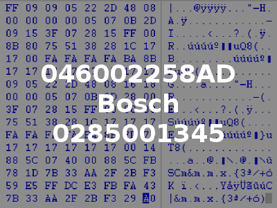 046002258AD Bosch 0285001345
