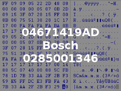 04671419AD Bosch 0285001346