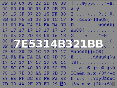 7E5314B321BB