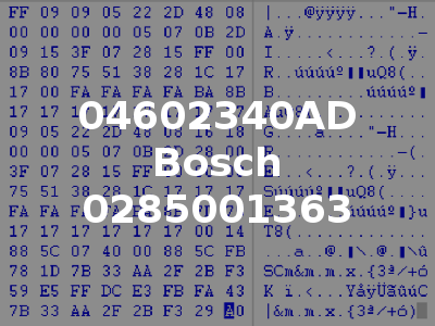 04602340AD Bosch 0285001363