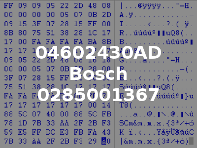 04602430AD Bosch 0285001367