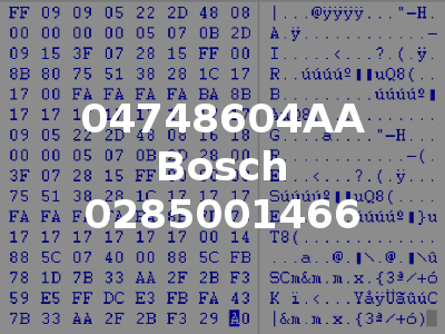 04748604AA Bosch 0285001466