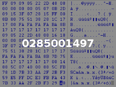 0285001497