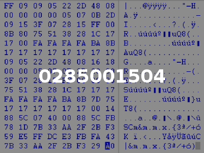0285001504